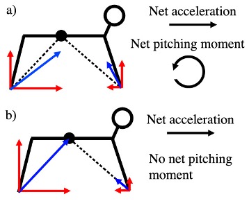 Primate acceleration mechanics
