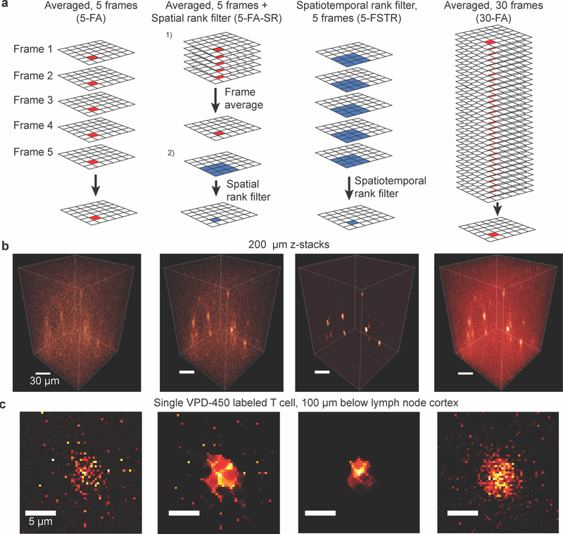 Spatiotemporal rank filtering