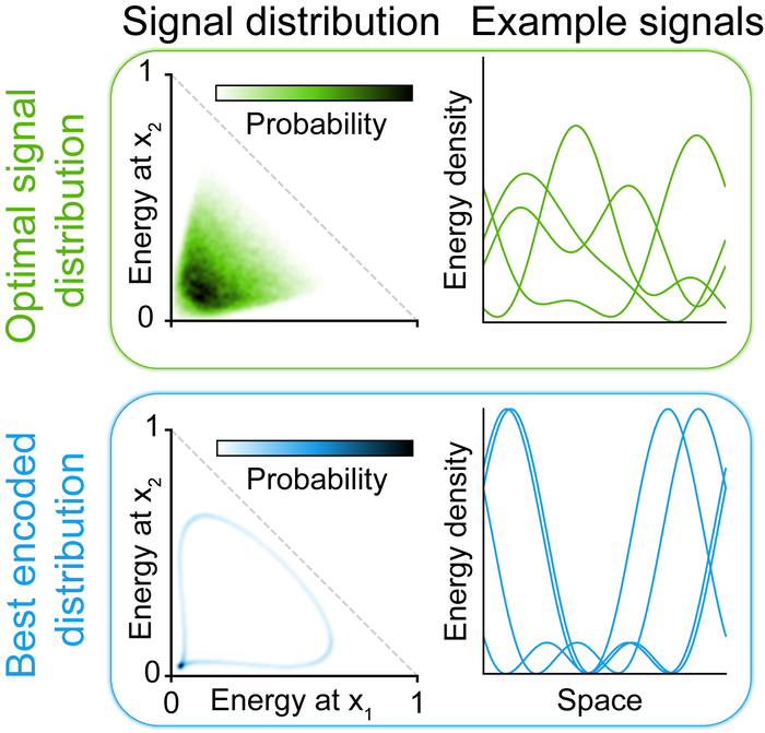 A Toy Model of the Structure of Information Encoding